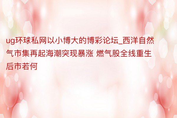 ug环球私网以小博大的博彩论坛_西洋自然气市集再起海潮突现暴涨 燃气股全线重生 后市若何